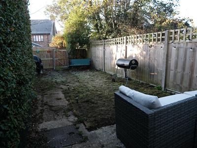Picture 10